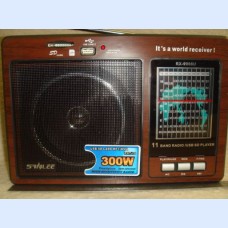 Sanlee RX-9966U